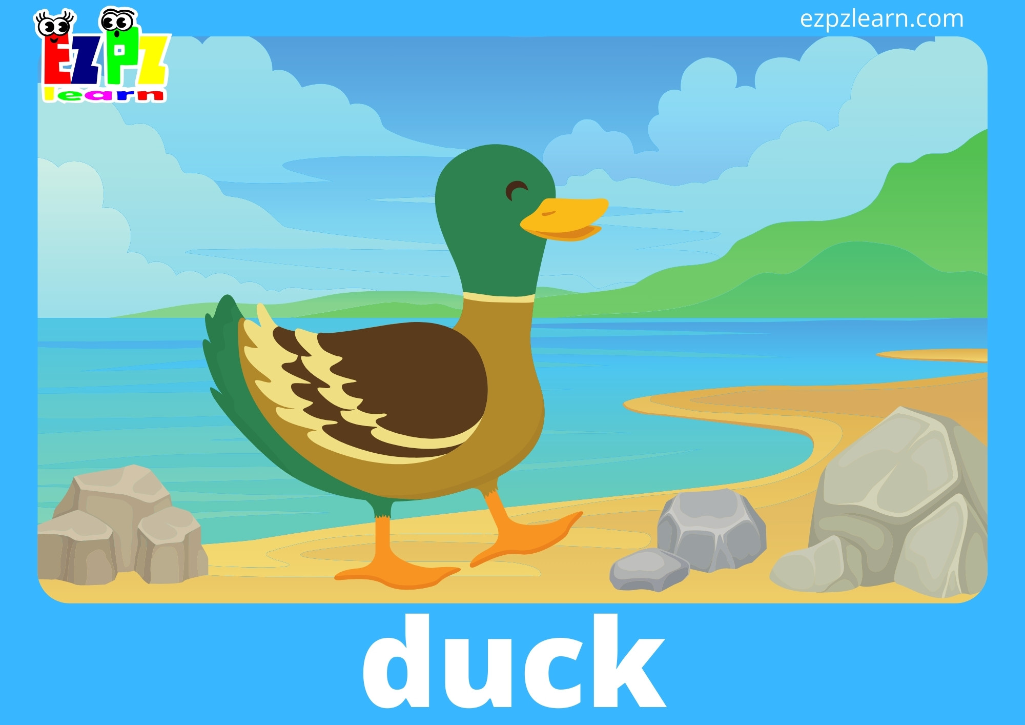 duck